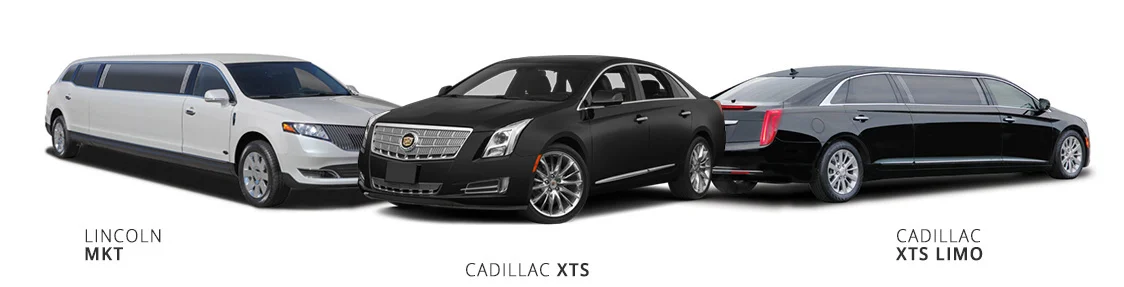 EXPERT CHAUFFEURS FOR CROSS BORDER TRAVEL