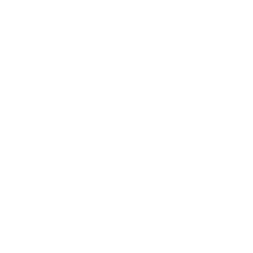 Professional Limo Chauffeurs