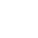 Luxury Limousine Selection